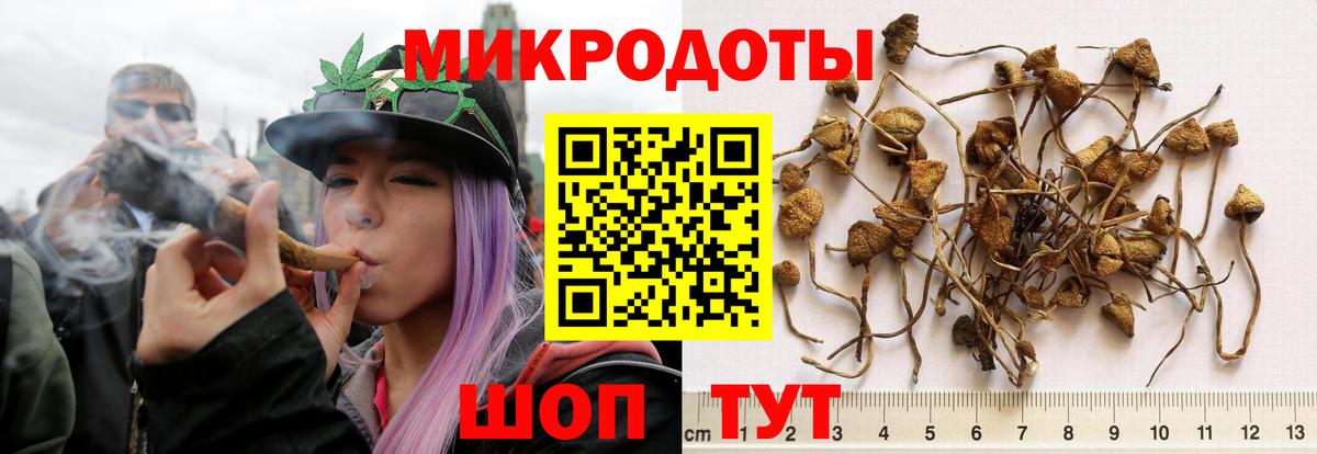 дарнет шоп  Псилоцибиновые грибы прущие грибы  Вход с VPN  Псилоцибиновые грибы Psilocybe  Туймазы 