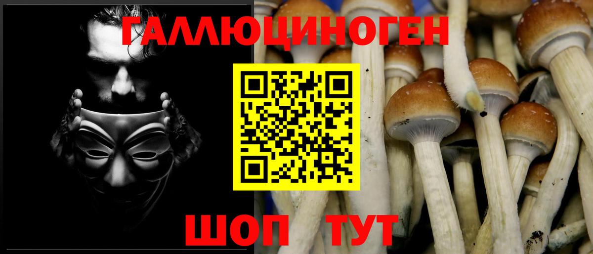Псилоцибиновые грибы Magic Shrooms Туймазы